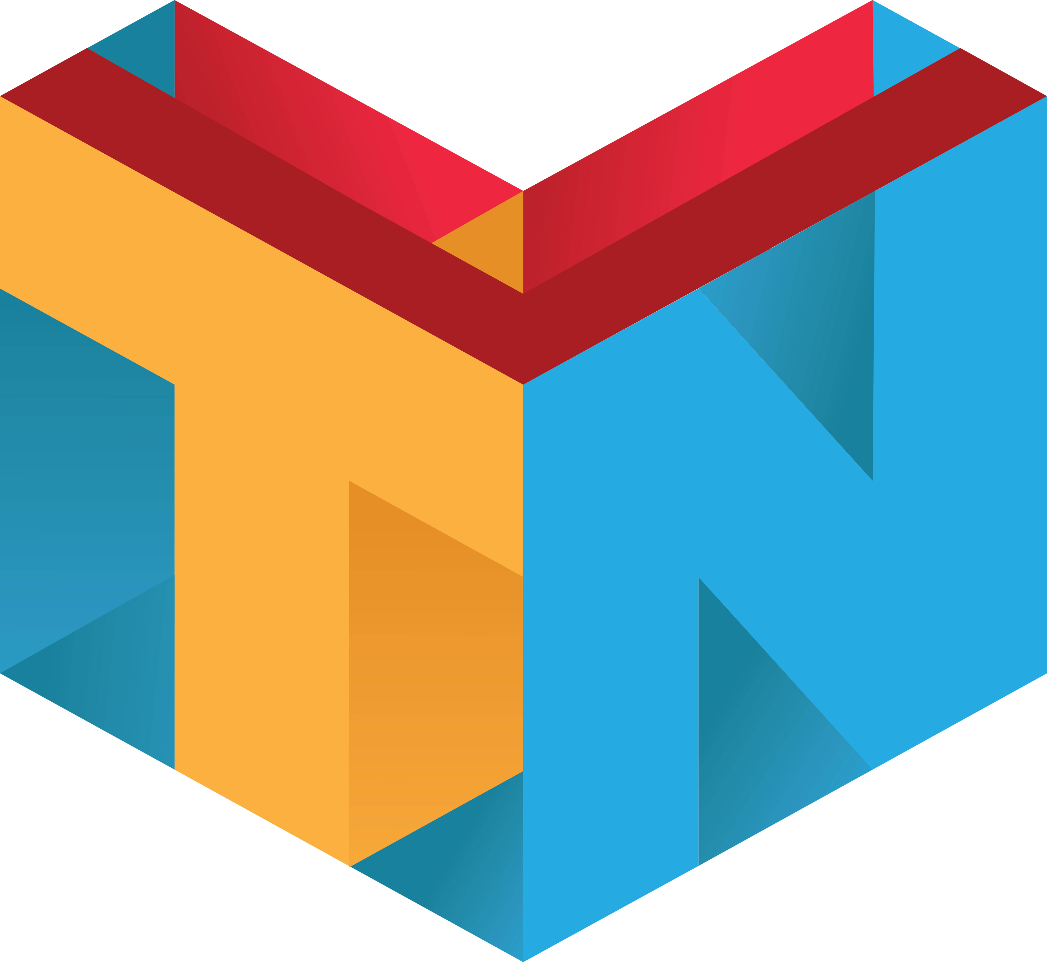 TNV Logo